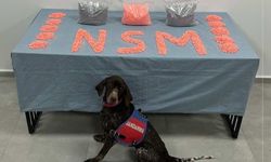 Denizli'de jandarma narkotik ekipleri zehir tacirlerine göz açtırmıyor