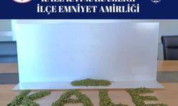 Denizli'de narkotik timlerinin operasyonunda 20 zehir taciri yakalandı