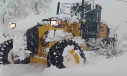 Devrek'te 45 köy yolu kar nedeniyle ulaşıma kapandı