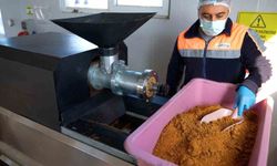 Didim'de her geri dönüşüm, can dostlara umut olacak