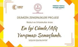 Dilimizin Zenginlikleri Projesi'nde en iyi cümle ve afişler belli oldu
