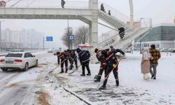Diyarbakır'da kar ve buzlanmaya karşı 850 personel sahada çalışıyor