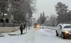 Diyarbakır'da kar yağışı etkili oldu