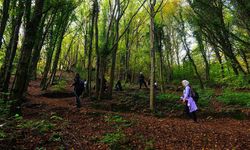 Doğaseverler Sakarya'nın eşsiz doğasını keşfetti