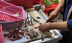 Doğru bilinen yanlışı uzmanı açıkladı: 'Gözüne bakıp tazeliğini anlarım diyen yalan söyler'