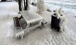 Doğu Anadolu dondu: Türkiye'nin en soğuk yerleri açıklandı