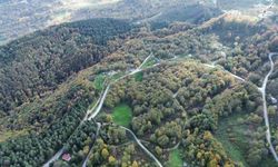 Düzce ormanlarında 'renk cümbüşü' yaşanıyor