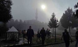 Düzce'de sis etkili oldu