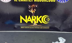 Düzce'de uyuşturucu operasyonu 1 tutuklama