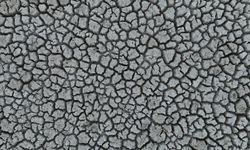 Eğirdir Gölü'ndeki kuraklık tarımda yön değiştirdi