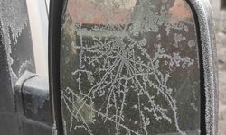 Eksi 17 dereceyi gören kentte araç camları buz tuttu