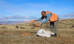 Elaızığ'da doğaya yem bırakıldı
