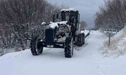 Elazığ'da kapalı köy yolu 103 oldu, ekipler çalışmalarını sürdürüyor