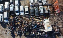 Elazığ'da yediemin otoparkında yosun tutan araçlar: 500 milyon TL'lik servet çürüyor