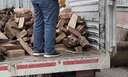 Elazığ'da yetim ailelere yakacak yardımı