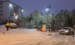 Ergani'de 'buz' mesaisi: Yollar piste döndü, araçlar zor anlar yaşadı