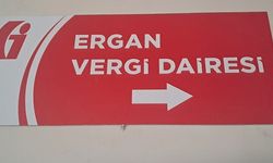 Erzincan' a ikinci vergi dairesi açıldı
