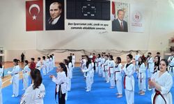 Erzincan, Siyah Kuşak ve Dan Terfi Sınavına ev sahipliği yaptı