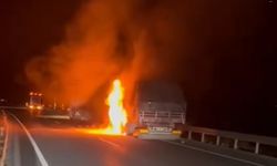 Erzincan'da seyir halindeki TIR alev aldı