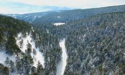 Erzincan'ın doğa harikası Dumanlı beyaza büründü