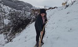 Erzincan'ın yüksek kesimleri beyaza büründü