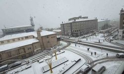 Erzurum'da kar yağışı etkili oluyor
