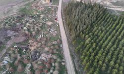 Eskişehir'de tezat görüntü: Bir yanda yeşil ağaçlar, bir yanda çöp yığınları