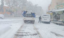 Eyyübiye Belediyesi ekiplerinin karla mücadelesi sürüyor