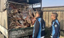 Gaziantep'te kamyonet kasasında kilolarca bozuk et ele geçirildi