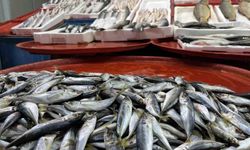 Geciken kış Konya'da balığı da vurdu