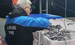 Gelibolu'da 45 kilo balığa el konuldu, 37 bin 770 lira para cezası kesildi