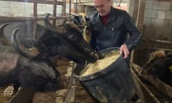 Giresun'da 286 manda işletmesine 12,3 milyon TL destek