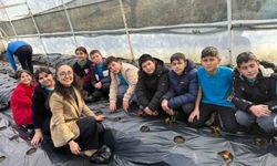 Gördes'te çilekler engelliler için yetişecek