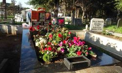 Güllü'nün mezarı gül bahçesine döndü