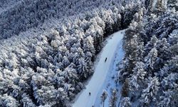 Gümüşhane'de kış masalı