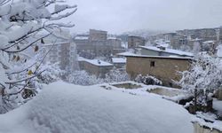 Hakkari'de 13 köy ve 30 mezra yolu ulaşıma kapandı