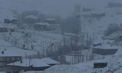 Hakkari'de 43 yerleşim yerinin yolu ulaşıma kapandı