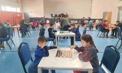 Hakkari'de 'satranç il birinciliği' yapıldı