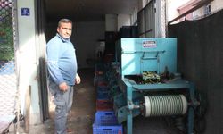 Hasat edilen zeytinler boyuna göre ayrılıyor, fiyatı kaliteyle şekilleniyor