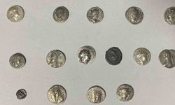 Hatay'da 26 sikke kargo ile göndermek üzereyken ele geçirildi