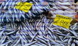 Havaların soğumasıyla balık tezgahlarında alışverişler hızlandı