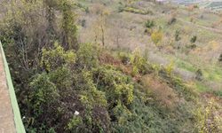 Heyelan sonrası Büyük Tekke Köyü'nde imam sorunu yaşanıyor