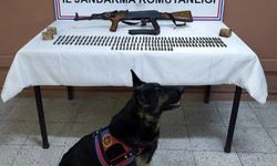 Iğdır'da silah kaçakçılığı operasyonu: Kalaşnikof tüfeği ve 264 fişek ele geçirildi