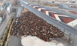 Iğdırlı göçerler, zorlu yolculuğun ardından Iğdır'a ulaştı