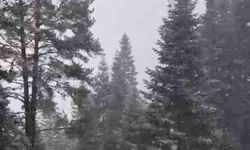 Ilgaz Dağı'nda kar yağışı etkili olmaya başladı