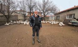 İstanbul'dan memleketi Yozgat'a döndü, binlerce hayvan üreterek geçimini sağlıyor