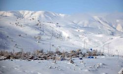 İşte Türkiye'nin en soğuk yerleri, Doğu yine dondu