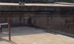 'İşten atıldım' diyerek Balıklıgöl'e atladı