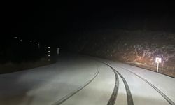 İzmir'e mevsimin ilk karı düştü