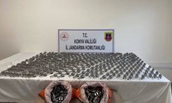 Jandarma ekipleri 586 adet tabanca namlusu ele geçirdi